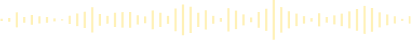visualizer